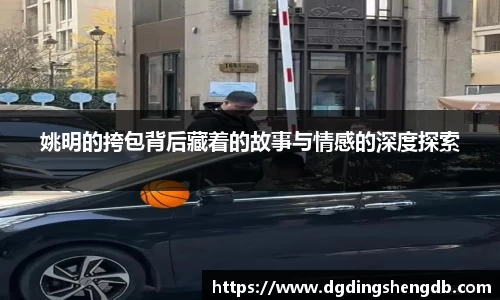 中欧体育
