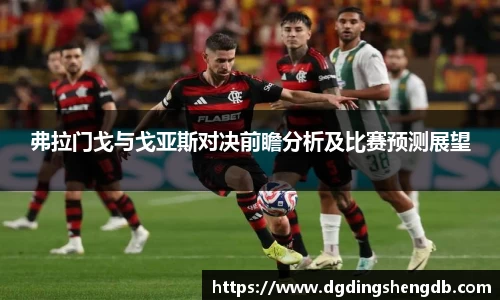 弗拉门戈与戈亚斯对决前瞻分析及比赛预测展望